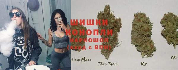 spice Пестово