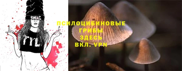 соль ск Алзамай