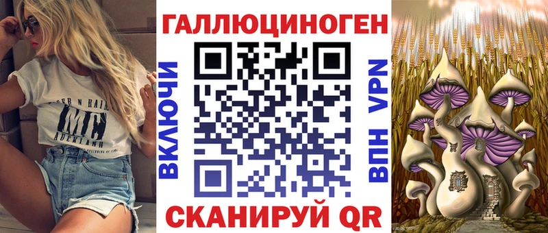 блэк спрут как войти  купить наркотики цена  Топки  Галлюциногенные грибы прущие грибы 